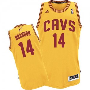 Maillot Authentic Cleveland Cavaliers NBA Alternate Or - #14 Terrell Brandon - Homme